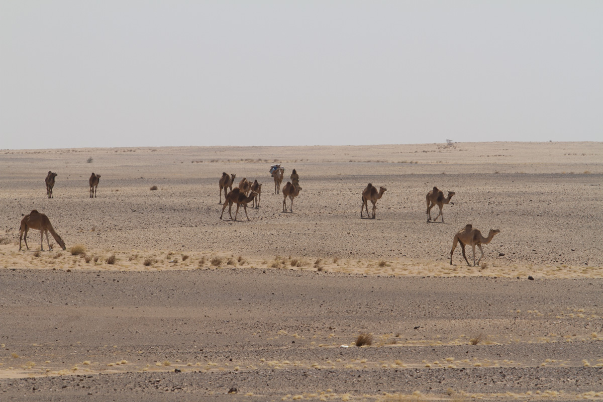 20160302-IMG_3809