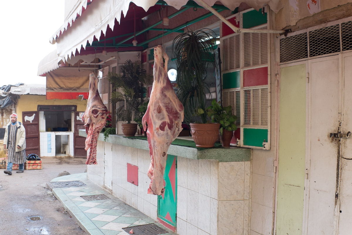 20160205-DSCF4716