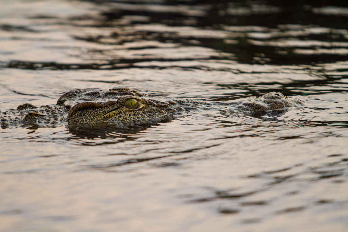 20160925-img_4806